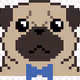 Puglyfestyle
