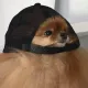 bwsshh