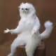 WaggaWagga