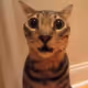 Fnordy