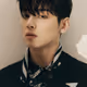 oxmylo