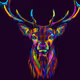 Crypto_Stag