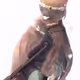freedog3