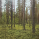 0xd4701deda2ad02a915508d15afd3da5b7312e823