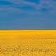 popoyi
