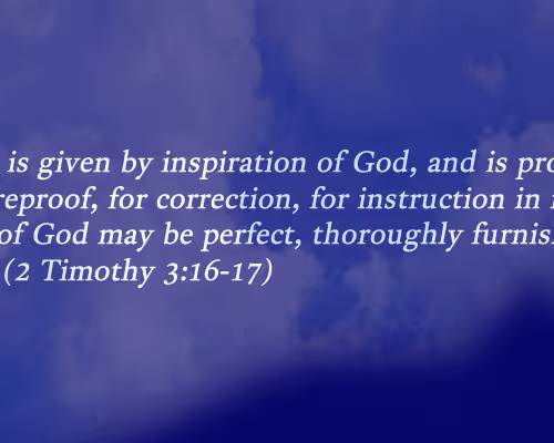 OpenSea banner for @Bibles