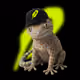 gecknutvault