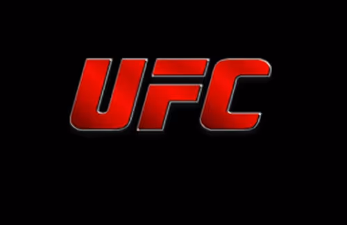 OpenSea banner for @Fighters