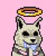rynnsx