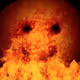 HOT--NUGGET