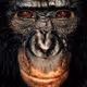 dietmar_eckell
