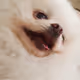 happybenji_6202