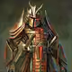 Warriorisa