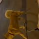bm1996