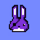 Nico_Rabbit