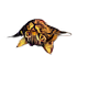ZilderWilde