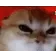 abyssdeployer