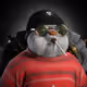 kamelbob