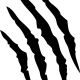 D53685