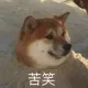 zlzlzl1