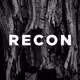 RECONnoise