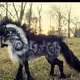 PandaRH