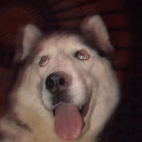 OpenSea profile picture for @PUBS