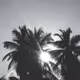Sharp_edges
