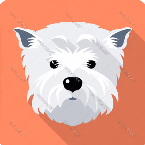 OpenSea profile picture for @koino