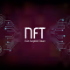 -NFTCommunity