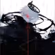Oscarz8