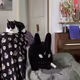 Mekacorno_ca