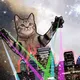 GatoLoco