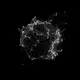 ARC20quark