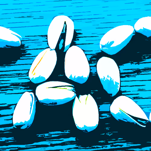 OpenSea banner for @Pistachio