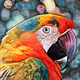 Hn_Creations