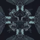 Heeler_Heeler_2