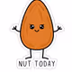 ReallyBigNuts