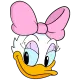 ddDaisy