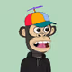 robertinvest