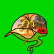 majoor_force
