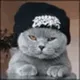 PatientTomcat