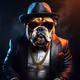 DogJoeydog