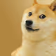 0xd70e5c4af624dbdba1c8eea6f9ec7b6fc2c0339a
