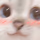 StaReaf