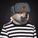 Ved7