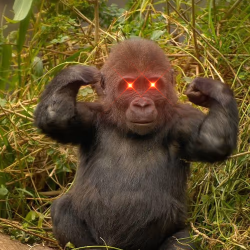 OpenSea profile picture for @Problematic