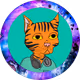 DCMCrypto