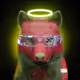Digital_Wilder