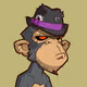 Cryp_1
